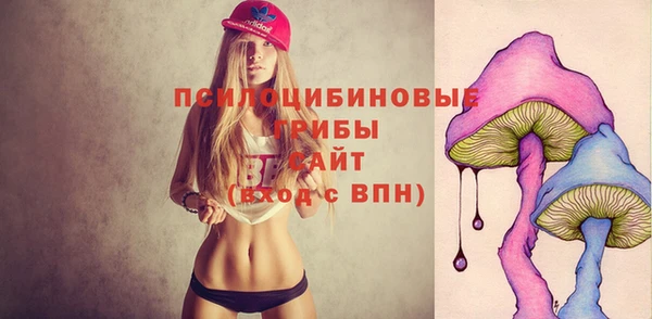 ешки Бронницы