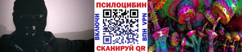 Псилоцибиновые грибы GOLDEN TEACHER  наркота  Барнаул 